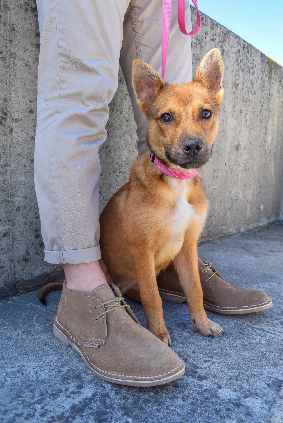 Hunter Vellie Unisex Premium Suede Veldskoen - Khaki - Freestyle SA Proudly local vellies leather boots veldskoens vellies leather shoes suede veldskoens